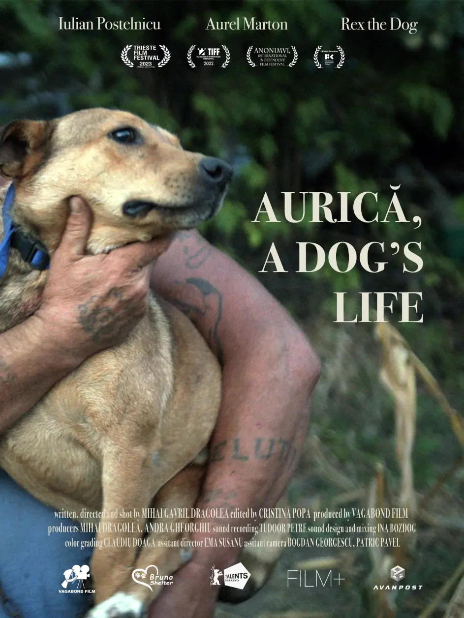 Best International | Aurică, a dog's life 